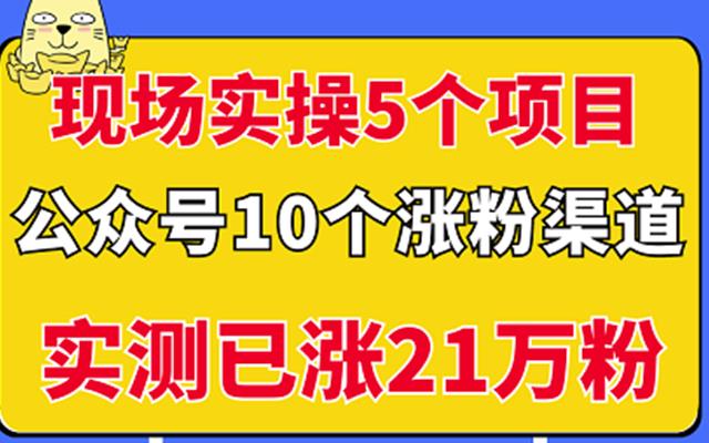 現場實操5個公眾號項目,10個漲粉渠道,實測已漲21萬粉!? - 嚴選資源大全