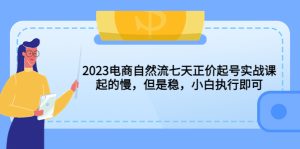 2023電商自然流七天正價起號實戰(zhàn)課：起的慢，但是穩(wěn)，小白執(zhí)行即可！ - 嚴選資源大全 - 嚴選資源大全