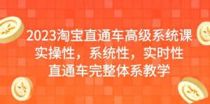 2023淘寶直通車高級系統課，實操性，系統性，實時性，直通車完整體系教學 - 嚴選資源大全 - 嚴選資源大全