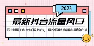2023最新抖音流量風口，同城餐飲店怎樣做抖音，餐飲同城直播店引流方法 - 嚴選資源大全 - 嚴選資源大全