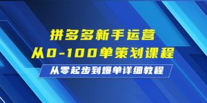 拼多多新手運營從0-100單策劃課程,從零起步到爆單詳細教程 - 嚴選資源大全 - 嚴選資源大全