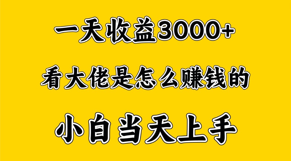 一天賺3000多,大佬是這樣賺到錢的,小白當天上手,窮人翻身項目 - 嚴選資源大全