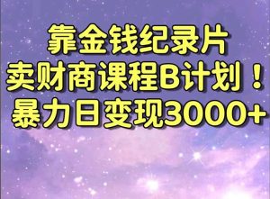 靠金錢紀錄片賣財商課程B計劃!暴力日變現3000+,喂飯式干貨教程! - 嚴選資源大全 - 嚴選資源大全