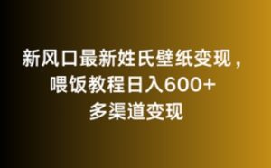 新風口最新姓氏壁紙變現，喂飯教程日入600+ - 嚴選資源大全 - 嚴選資源大全