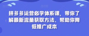 拼多多運營必學體系課,帶你了解最新流量獲取方法、幫助你降低推廣成本 - 嚴選資源大全 - 嚴選資源大全