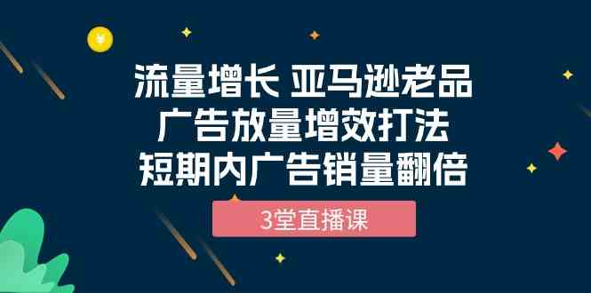 （10112期）流量增長 亞馬遜老品廣告放量增效打法，短期內廣告銷量翻倍（3堂直播課） - 嚴選資源大全