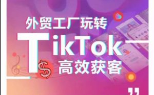 外貿工廠玩轉TikTok高效獲客，多種引流方式與賬號定位技巧，拆解爆款短視頻打造成功案例 - 嚴選資源大全 - 嚴選資源大全