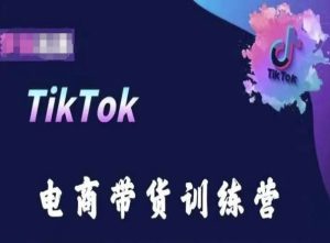TikTok電商帶貨訓練營,跟隨時代潮流,跨境掘金 - 嚴選資源大全 - 嚴選資源大全