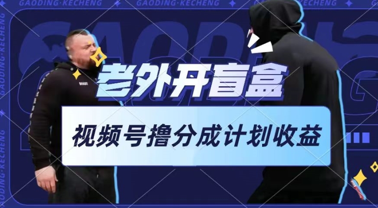 老外開盲盒視頻,擼視頻號分成計劃收益,每天只需一小時,新手小白輕松上手 - 嚴選資源大全