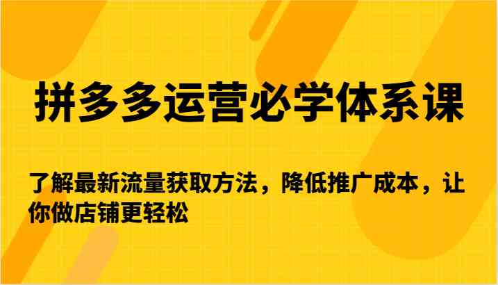 拼多多運營必學體系課-了解最新流量獲取方法，降低推廣成本，讓你做店鋪更輕松 - 嚴選資源大全