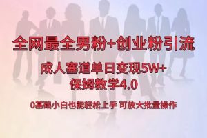 全網首發成人用品單日賣貨5W+，最全男粉+創業粉引流玩法，小白也能輕松…? - 嚴選資源大全 - 嚴選資源大全