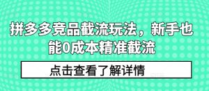 拼多多競品截流玩法,新手也能0成本精準截流 - 嚴選資源大全 - 嚴選資源大全