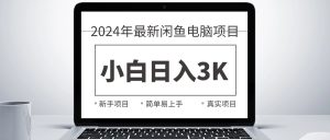 (10845期)2024最新閑魚賣電腦項目,新手小白日入3K+,最真實的項目教學 - 嚴選資源大全 - 嚴選資源大全