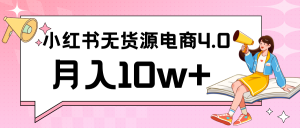 小紅書新電商實戰 無貨源實操從0到1月入10w+ 聯合抖音放大收益 - 嚴選資源大全 - 嚴選資源大全