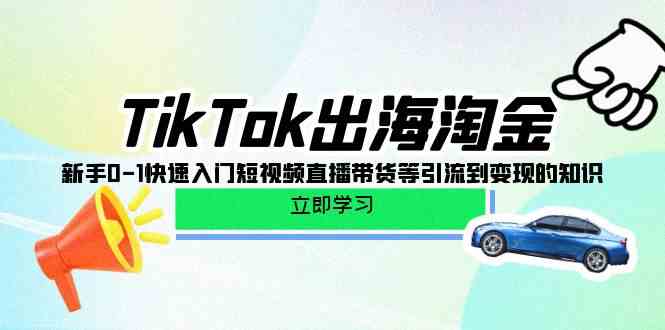 TikTok出海淘金，新手0-1快速入門(mén)短視頻直播帶貨等引流到變現(xiàn)的知識(shí) - 嚴(yán)選資源大全