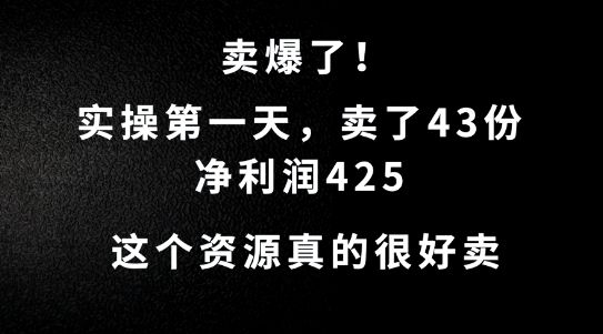 這個資源，需求很大，實操第一天賣了43份，凈利潤425【揭秘】 - 嚴選資源大全