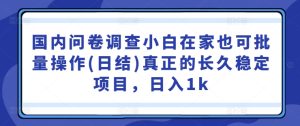國內問卷調查小白在家也可批量操作(日結)真正的長久穩定項目，日入1k【揭秘】 - 嚴選資源大全 - 嚴選資源大全