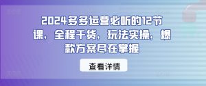 2024多多運營必聽的12節課，全程干貨，玩法實操，爆款方案盡在掌握 - 嚴選資源大全 - 嚴選資源大全