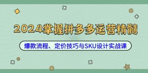 2024掌握拼多多運營精髓：爆款流程、定價技巧與SKU設計實戰課 - 嚴選資源大全 - 嚴選資源大全