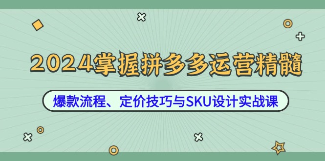 2024掌握拼多多運營精髓:爆款流程、定價技巧與SKU設計實戰課 - 嚴選資源大全