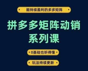 拼多多矩陣動銷系列課,能持續盈利的多多矩陣,0基礎也聽得懂,玩法持續更新 - 嚴選資源大全 - 嚴選資源大全