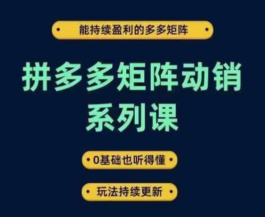 拼多多矩陣動銷系列課，能持續盈利的多多矩陣，0基礎也聽得懂，玩法持續更新 - 嚴選資源大全