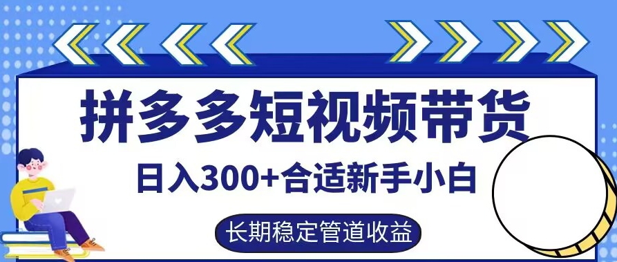 拼多多短視頻帶貨日入300+有長期穩定被動收益,合適新手小白【揭秘】 - 嚴選資源大全