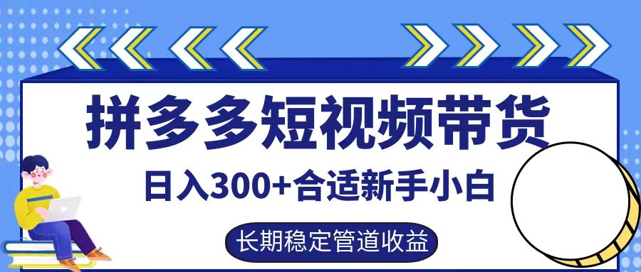 拼多多短視頻帶貨日入300+，實操賬戶展示看就能學會 - 嚴選資源大全