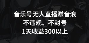 音樂號無人直播賺音浪,不違規、不封號,1天收益300+ - 嚴選資源大全 - 嚴選資源大全