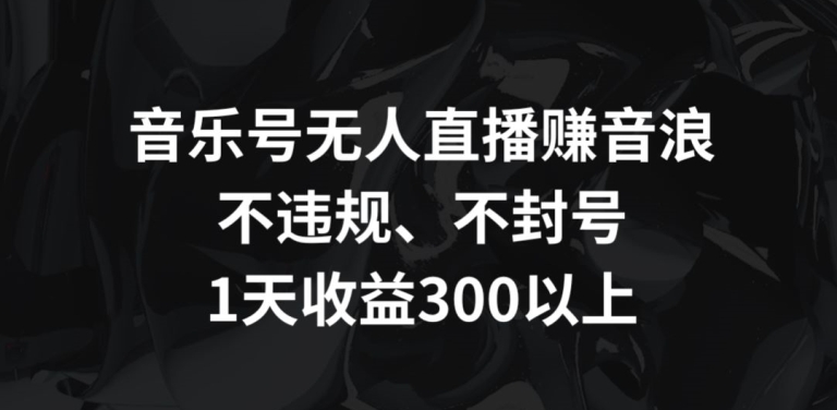 音樂號無人直播賺音浪，不違規、不封號，1天收益300+ - 嚴選資源大全
