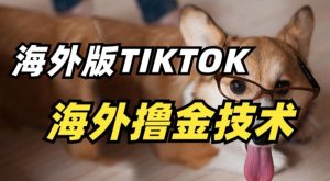 抖音海外版tiktok擼金技術,這個風口行業,賺錢真的不難 - 嚴選資源大全 - 嚴選資源大全