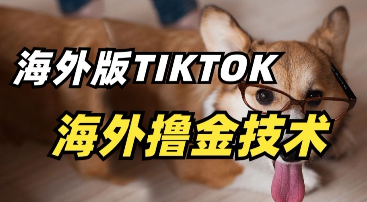 抖音海外版tiktok擼金技術，這個風口行業，賺錢真的不難 - 嚴選資源大全
