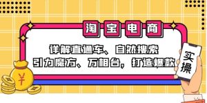 （12814期）2024淘寶電商課程：詳解直通車、自然搜索、引力魔方、萬相臺，打造爆款 - 嚴選資源大全 - 嚴選資源大全