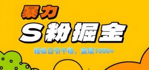 單人單機日引千粉,變現1k+,S粉流量掘金計劃攻略【揭秘】 - 嚴選資源大全 - 嚴選資源大全