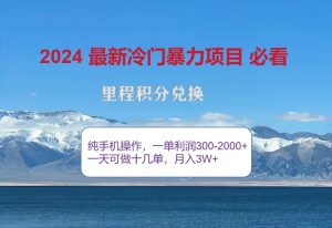 2024驚爆冷門暴利,里程積分最新玩法,高爆發(fā)期,一單300+—2000+ - 嚴選資源大全 - 嚴選資源大全