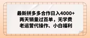 （12869期）拼多多最新合作日入4000+兩天銷量過百單，無學費、老運營代操作、小白福利 - 嚴選資源大全 - 嚴選資源大全