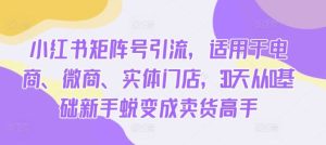 小紅書矩陣號引流,適用于電商、微商、實體門店,30天從0基礎新手蛻變成賣貨高手 - 嚴選資源大全 - 嚴選資源大全