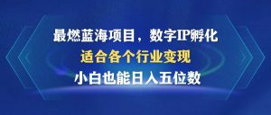 （12941期）最燃藍海項目 數字IP孵化 適合各個行業變現 小白也能日入5位數 - 嚴選資源大全 - 嚴選資源大全