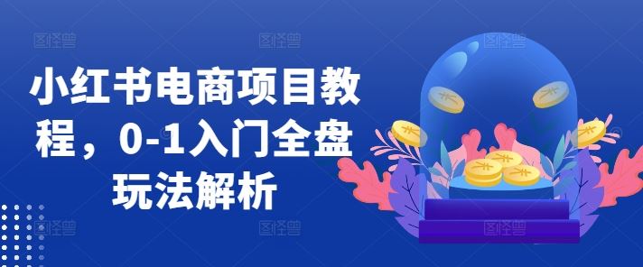 小紅書電商項目教程，0-1入門全盤玩法解析 - 嚴選資源大全
