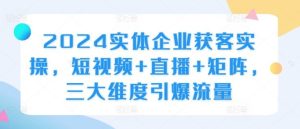 2024實體企業獲客實操,短視頻+直播+矩陣,三大維度引爆流量 - 嚴選資源大全 - 嚴選資源大全