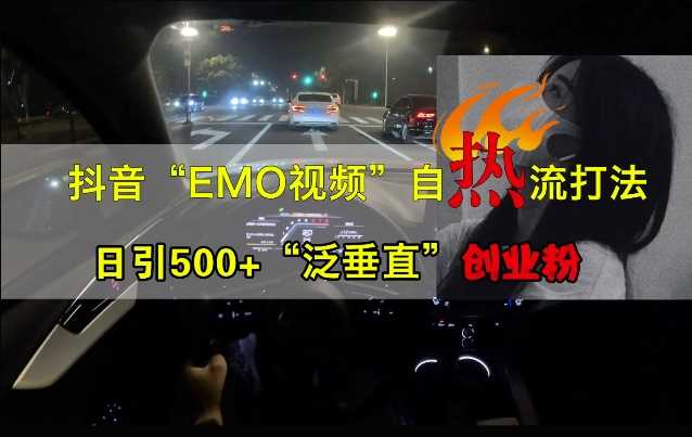 抖音EMO視頻自熱打法,日引500+“泛垂直”創(chuàng)業(yè)粉 - 嚴(yán)選資源大全