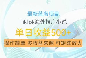 最新藍海項目，利用tiktok海外推廣小說賺錢傭金，簡單易學，日入500+，可矩陣放大【揭秘】 - 嚴選資源大全 - 嚴選資源大全
