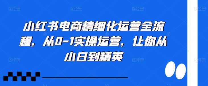 小紅書電商精細化運營全流程，從0-1實操運營，讓你從小白到精英 - 嚴選資源大全