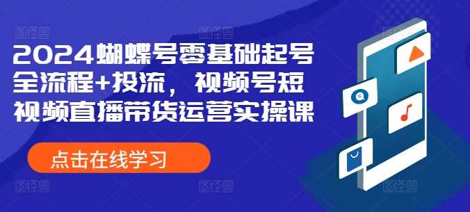 2024蝴蝶號零基礎起號全流程+投流，視頻號短視頻直播帶貨運營實操課 - 嚴選資源大全