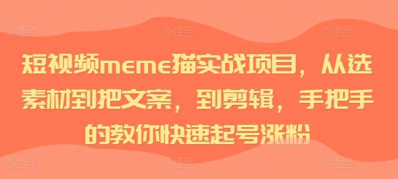 短視頻meme貓實(shí)戰(zhàn)項(xiàng)目,從選素材到把文案,到剪輯,手把手的教你快速起號(hào)漲粉 - 嚴(yán)選資源大全