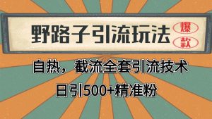 抖音小紅書視頻號全平臺引流打法,全自動引流日引2000+精準客戶 - 嚴選資源大全 - 嚴選資源大全