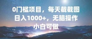 (13160期)0門檻項目,每天截截圖,日入1000+,輕松無腦,小白可做 - 嚴(yán)選資源大全 - 嚴(yán)選資源大全