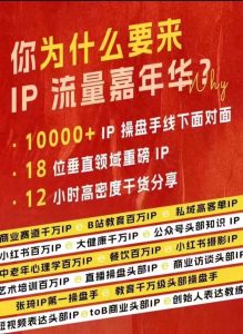 群響IP流量嘉年華,?現場視頻+IP江湖2024典藏版PPT - 嚴選資源大全 - 嚴選資源大全
