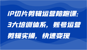 IP切片剪輯運營陪跑課,3大培訓體系:賬號運營 剪輯實操 快速變現 - 嚴選資源大全 - 嚴選資源大全