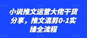 小說推文運營大佬干貨分享,推文混剪0-1實操全流程 - 嚴選資源大全 - 嚴選資源大全